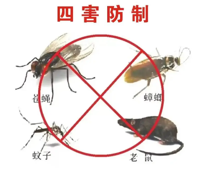床墊易滋生吸血臭蟲，怎樣預(yù)防呢？